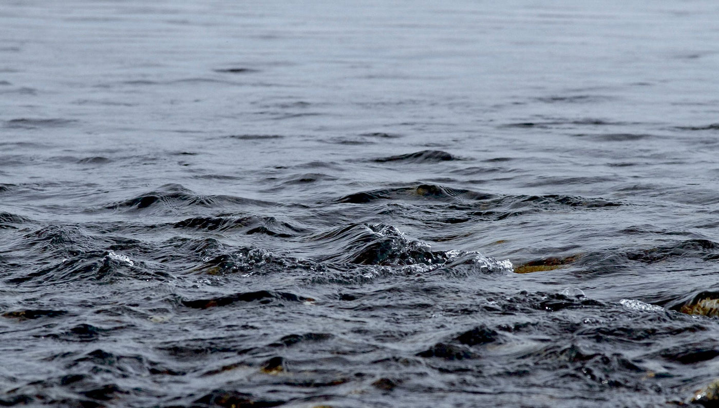 Plastic-laden ocean water