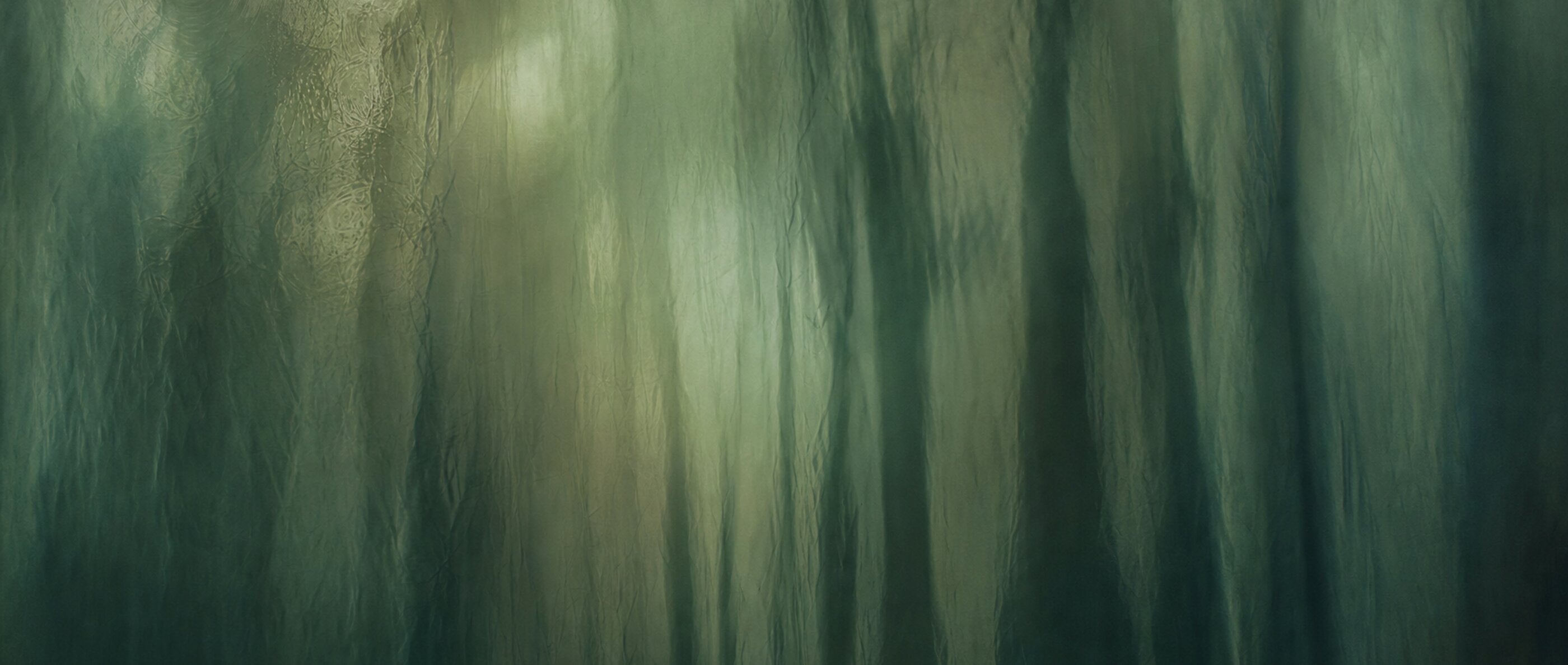 Kiso Forest
