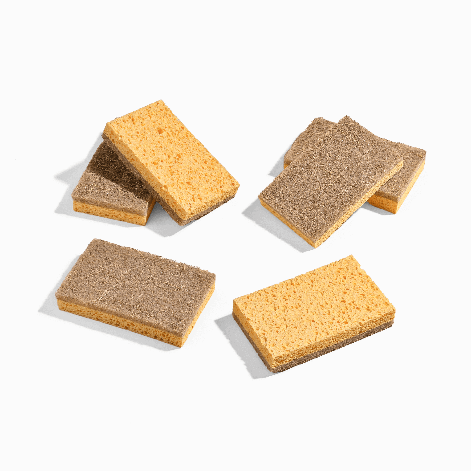 Natural Sponge Padding Plant-Based Kitchen Sponges – Element Brooklyn