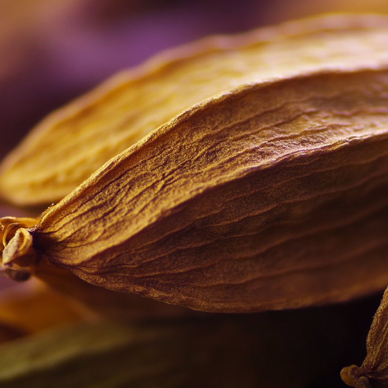 Acadia heart notes — Cardamom