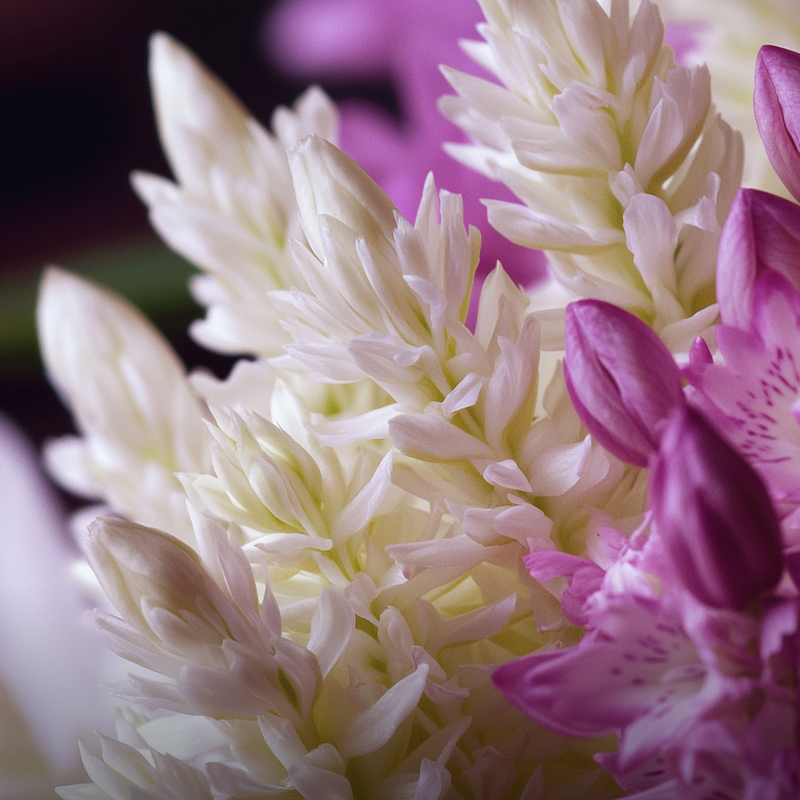 Awakening heart notes — Tuberose
