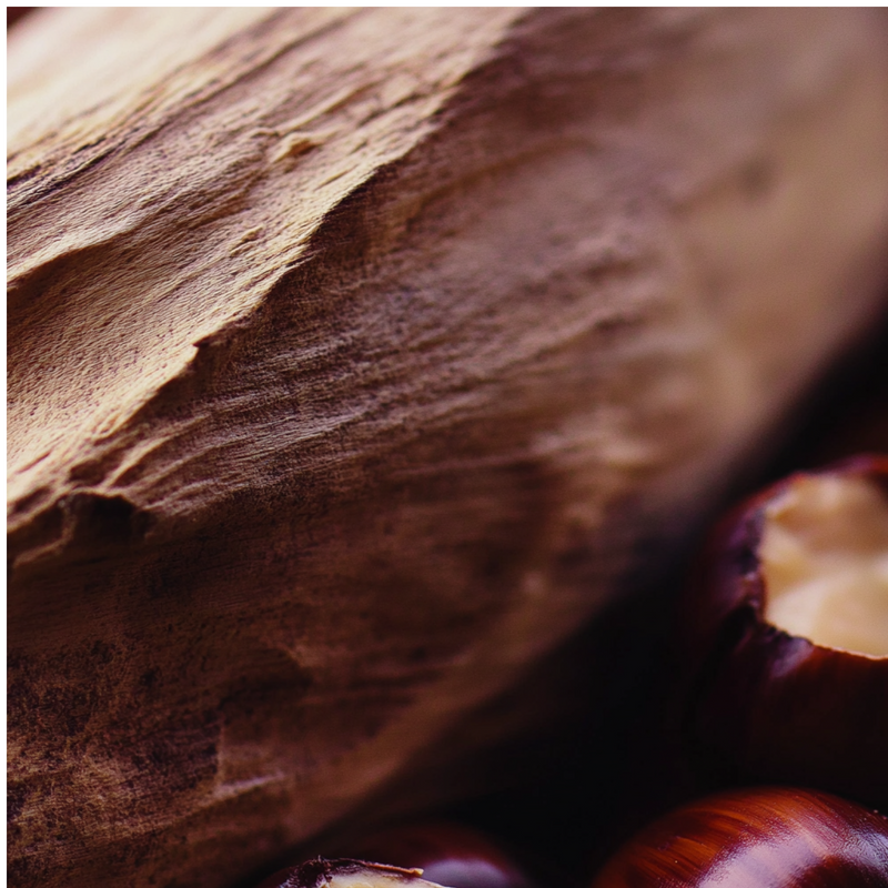 Campfire Stereo heart notes — Gaïac wood, chestnut