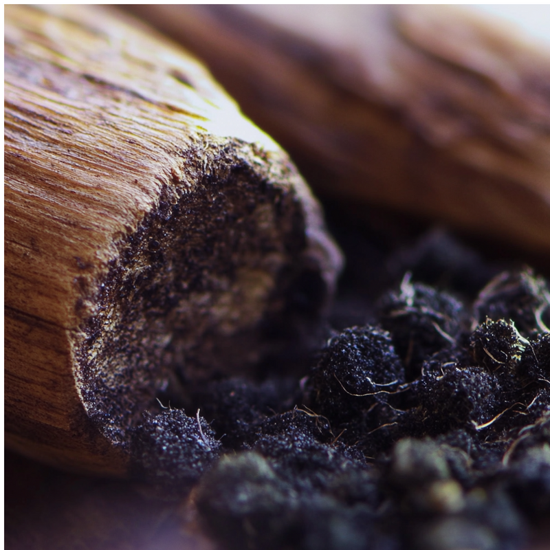 Dusk in Eden base notes — Guaiacwood, musk