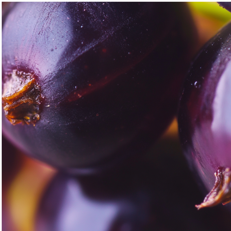 In Full Bloom top notes — Blackcurrant