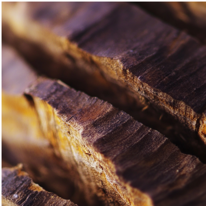 Kiso Forest heart notes — Cedarwood