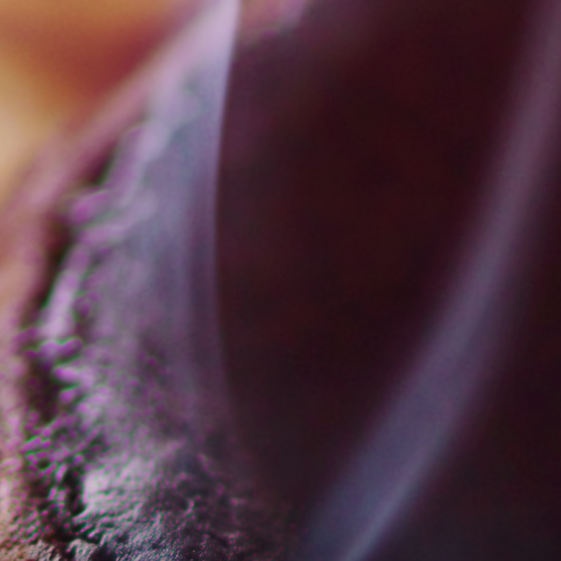 Whispering Pine base notes — Absolute Incense