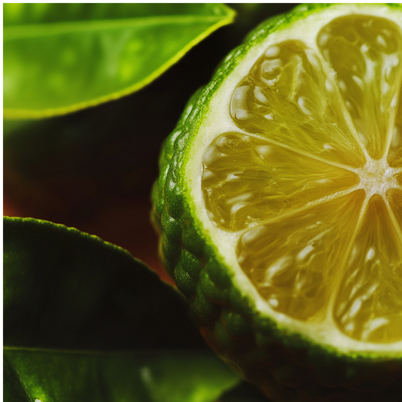Wild Pear top notes — Bergamot