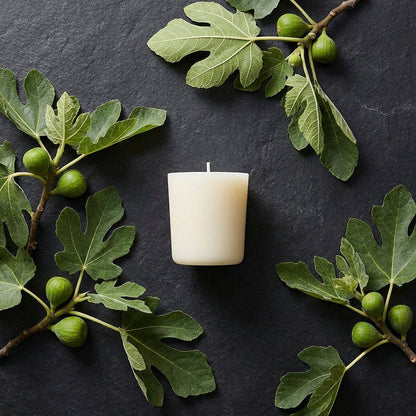 Wicked Ficus Candle Refill
