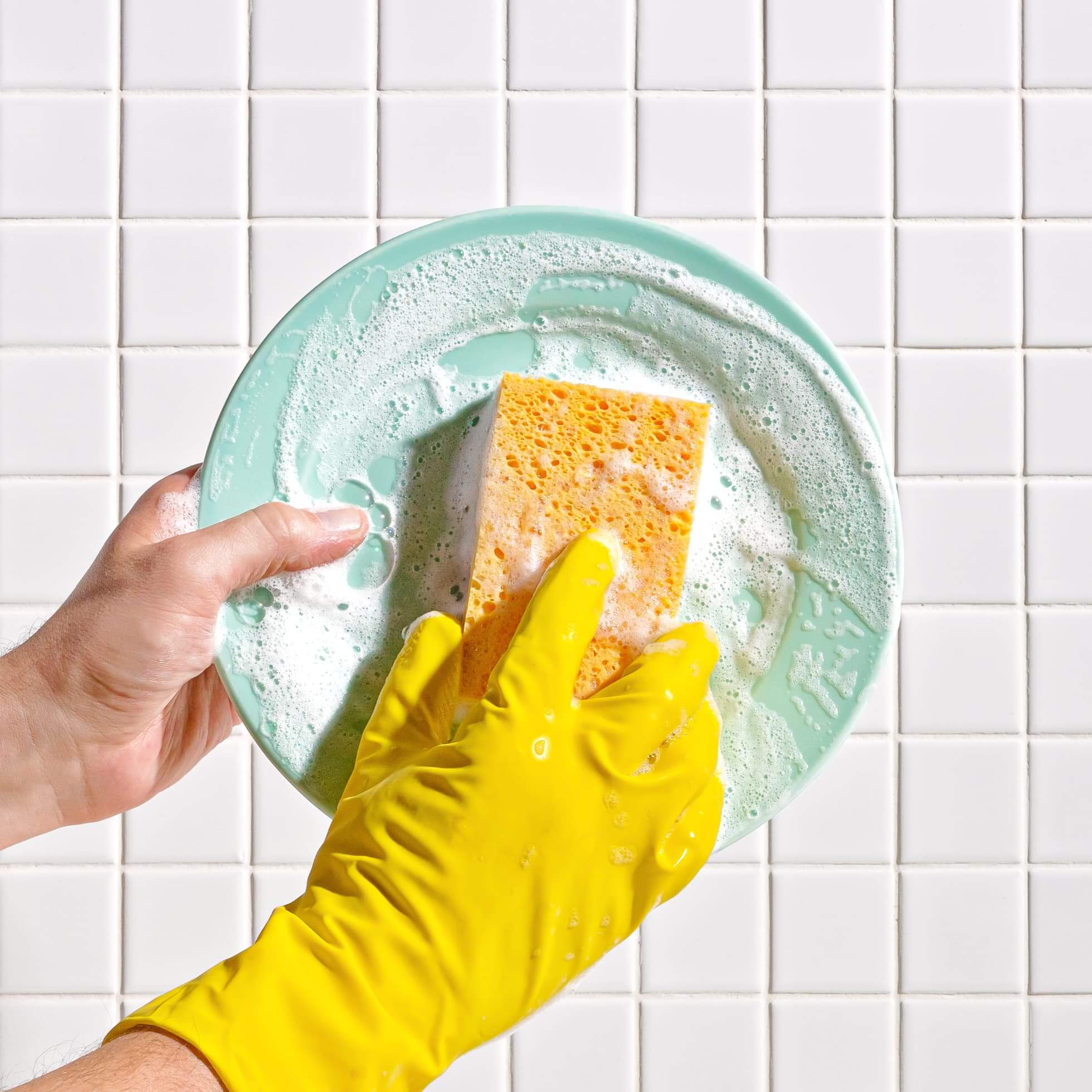 What's the Difference Between Cellulose Sponges and Those Other Kitchen  Sponges?
